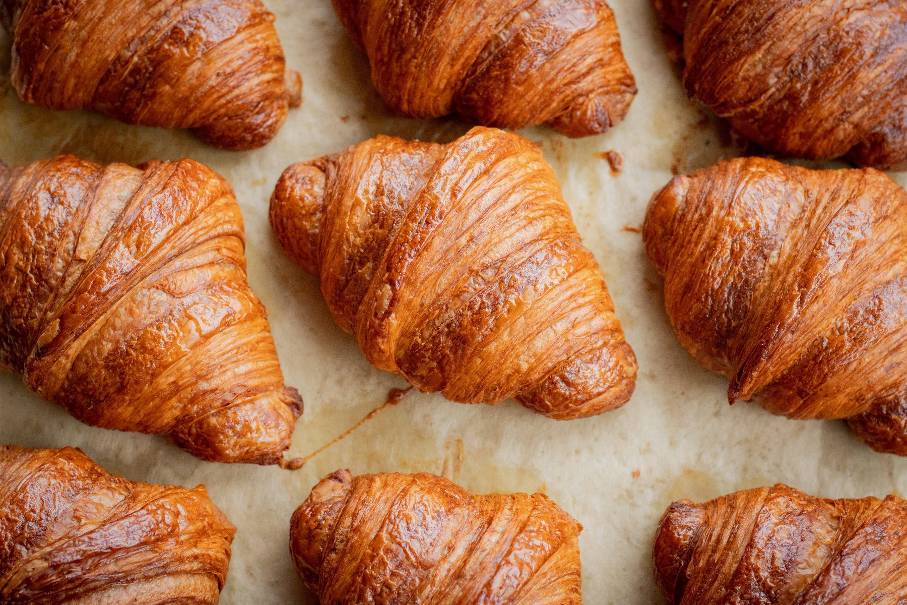 Freshly baked croissants on a tray